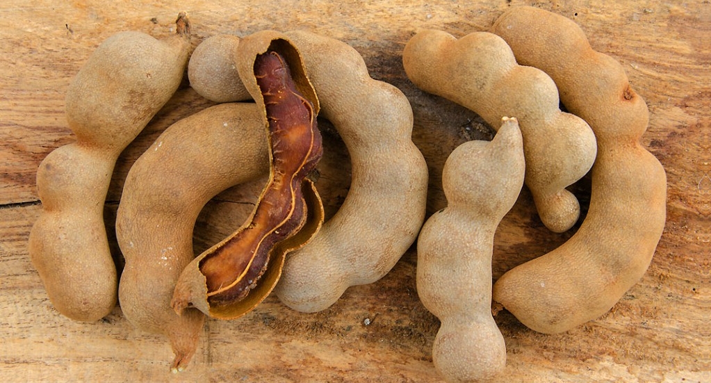 Benefícios do Tamarindo para saúde