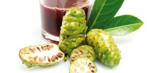 Benefícios da Vitamina de Noni