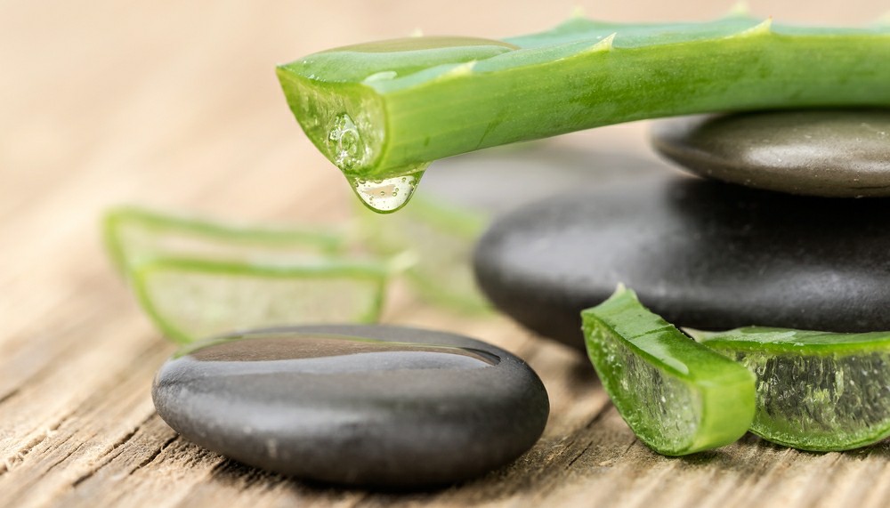 Benefícios da Aloe Vera