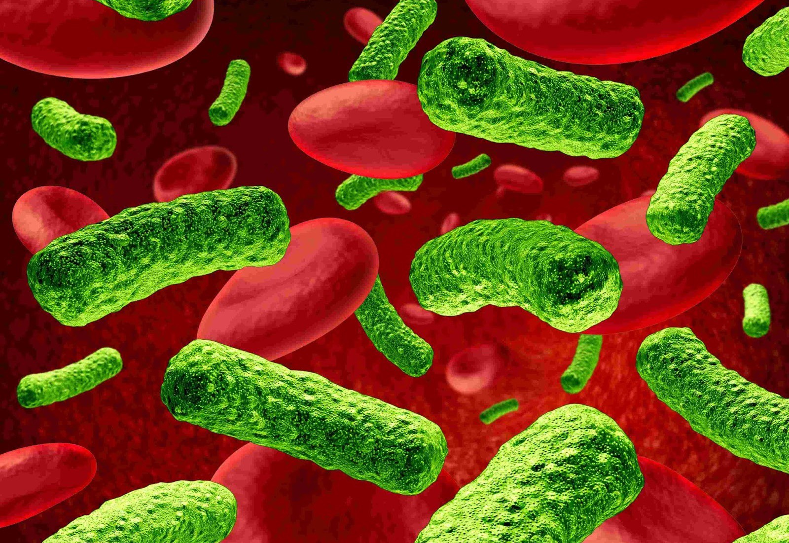 Óleos Essenciais Para Infecções Bacterianas