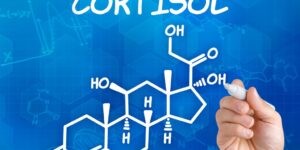 Reduzir os Níveis de Cortisol