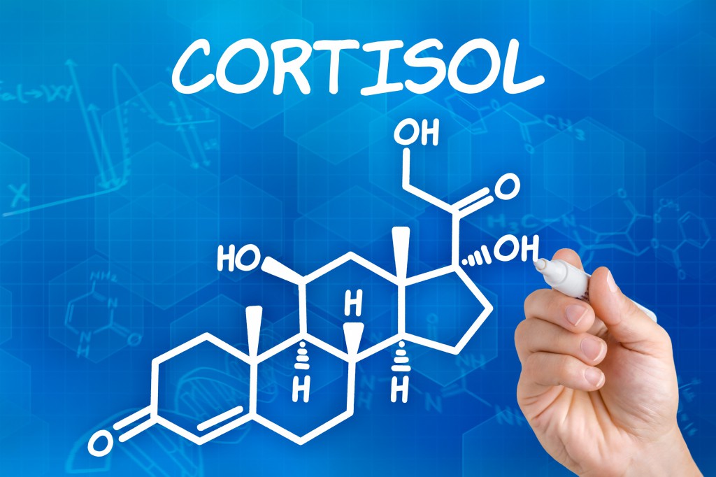 Reduzir os Níveis de Cortisol