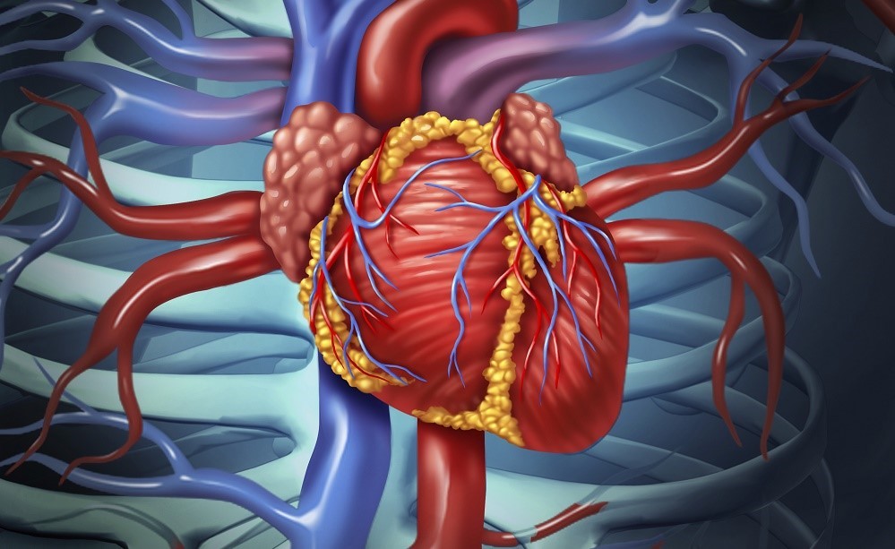 Dieta para ajudar a fortalecer o coração: como fazer? cardápio e benefícios