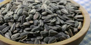 nutrientes da semente-de-girassol