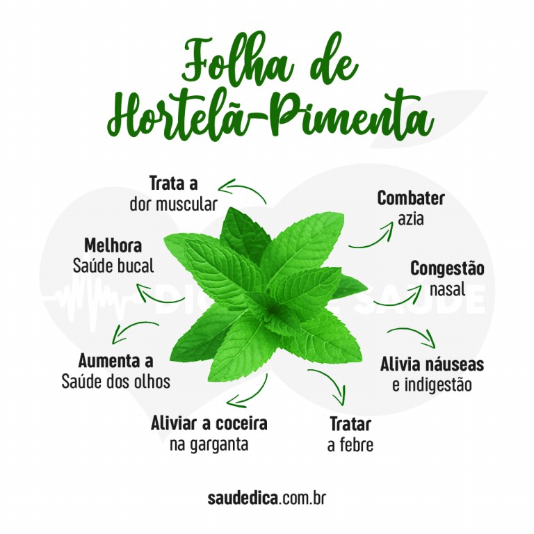 Benefícios da Hortelã- Pimenta