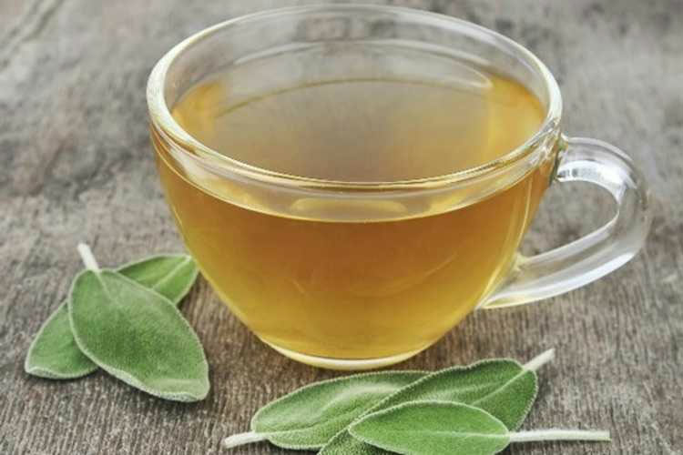 Chá de Louro - Benefícios