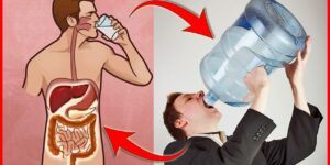 dicas para melhorar sua saude bebendo agua corretamente