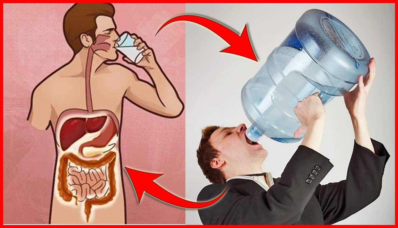 dicas para melhorar sua saude bebendo agua corretamente