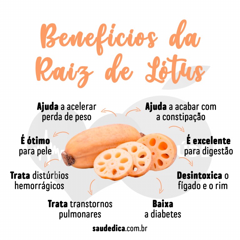 Benefícios do Chá de Raiz de Lótus para saúde