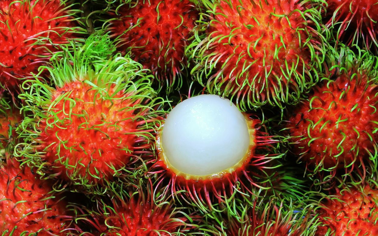 Propriedades do Suco de Rambutan