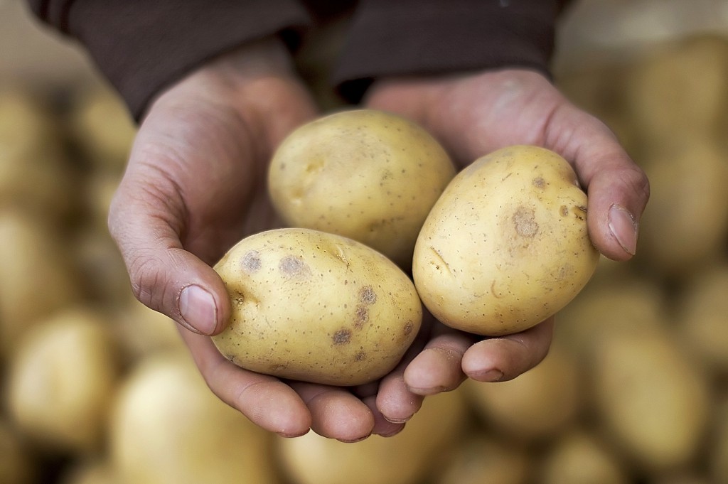 Benefícios da Batata