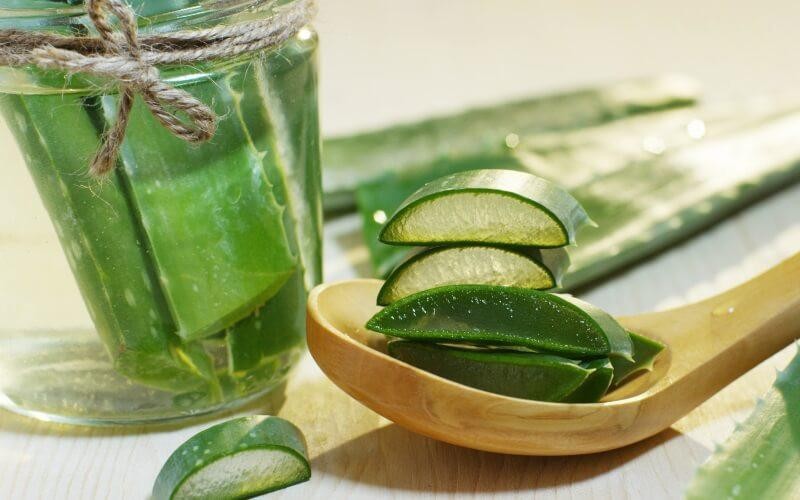 Aloe Vera – Benefícios