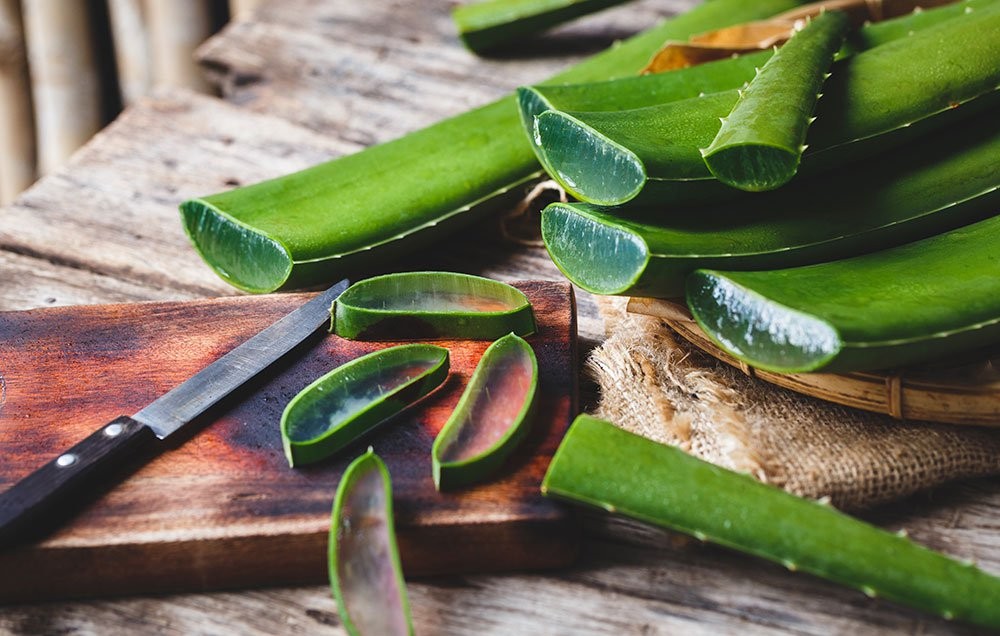 Aloe Vera – Benefícios, Usos e Efeitos Colaterais!