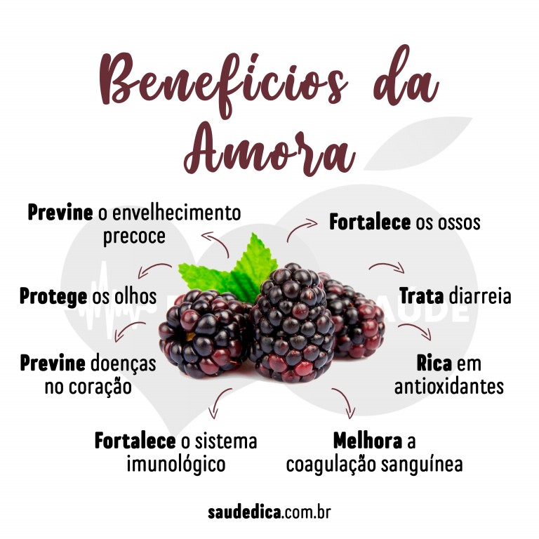 Benefícios da Amora Para Saúde