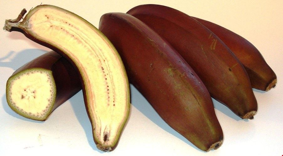 Banana vermelha para saúde