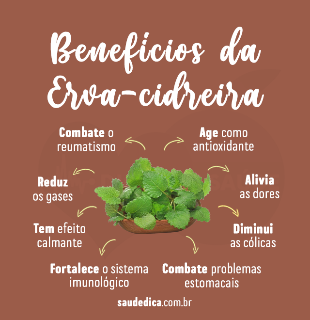 beneficios da erva-cidreira