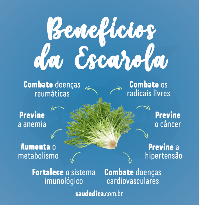 beneficios da escarola