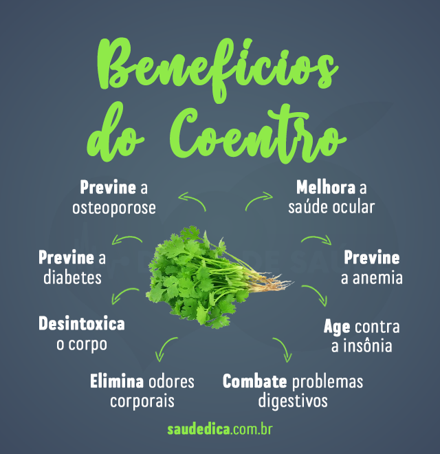 benefícios do coentro