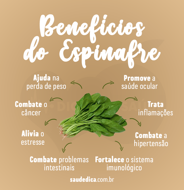 beneficios do espinafre