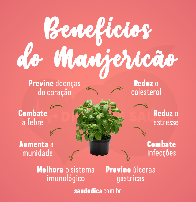 beneficios do manjericao