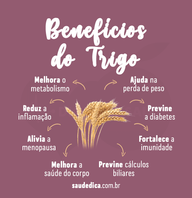 beneficios do trigo