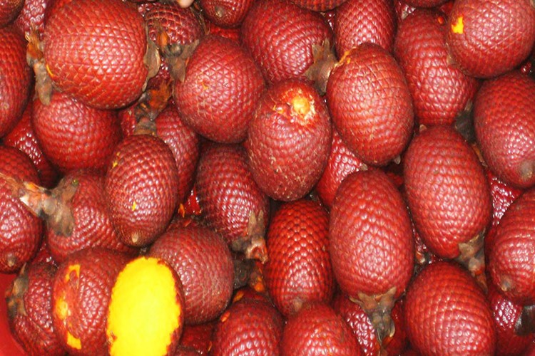 Buriti