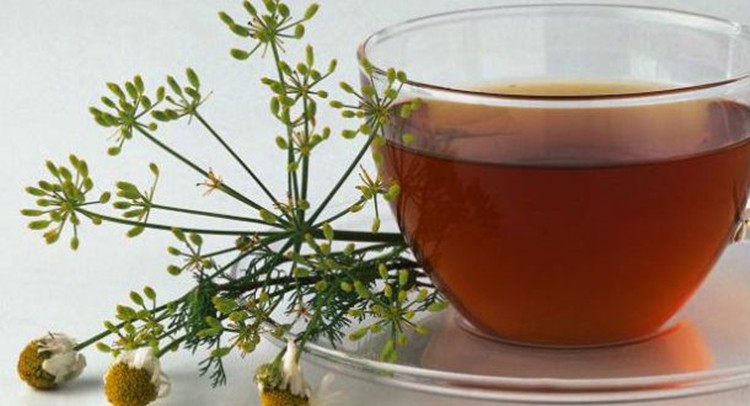 Chá de Erva Doce
