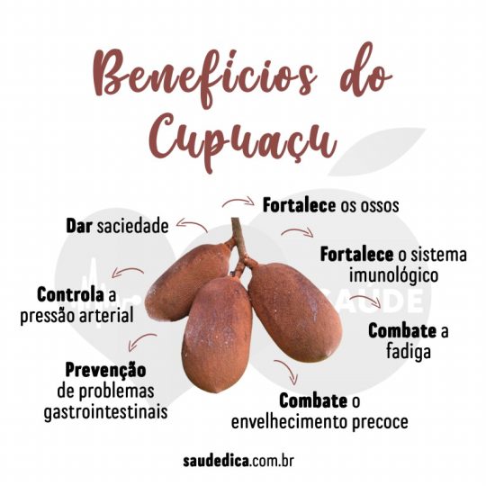 Cupuaçu: Para que serve, valor nutricional, curiosidades, benefícios ...