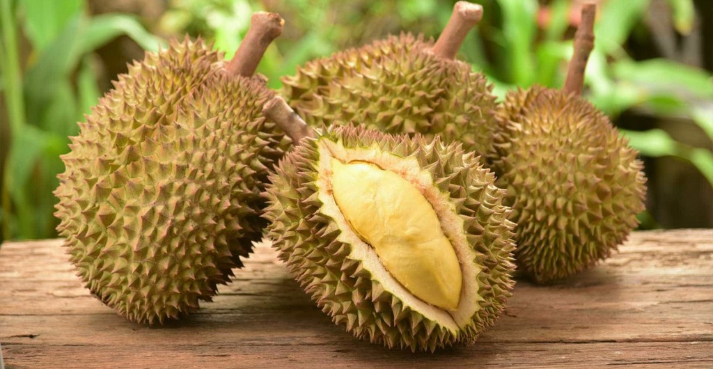 Benefícios do Durian para saúde