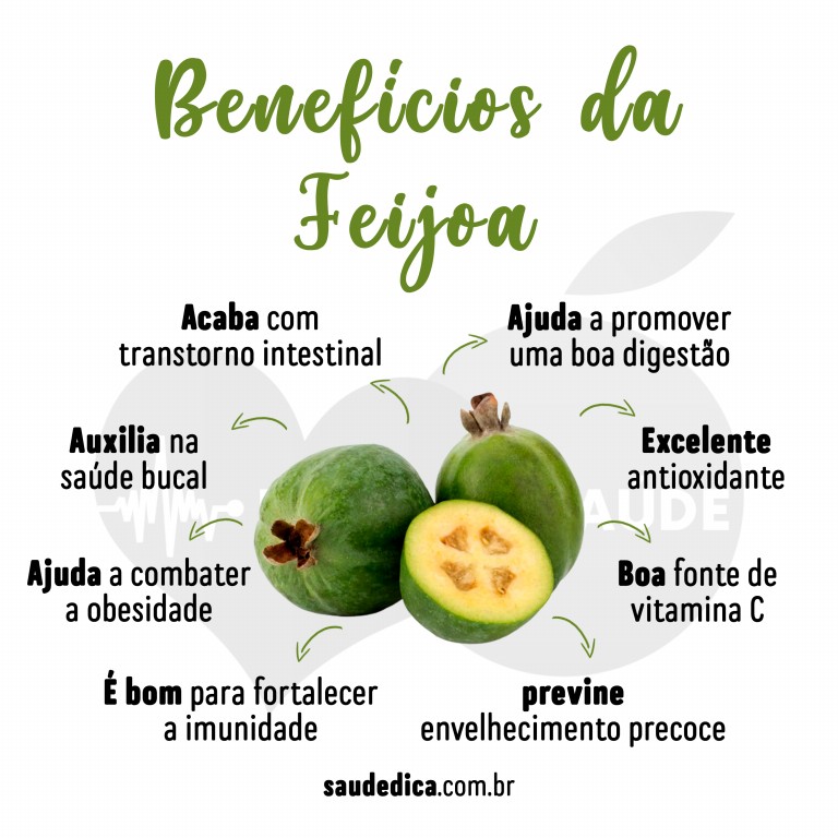 Benefícios da Feijoa para saúde