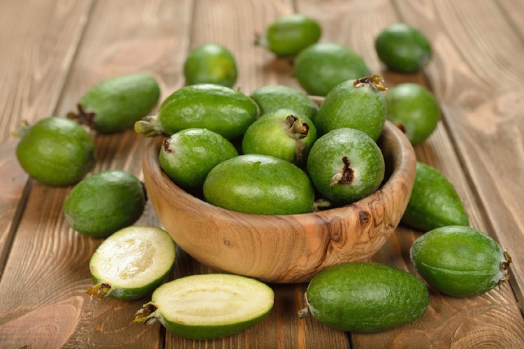 feijoa 2