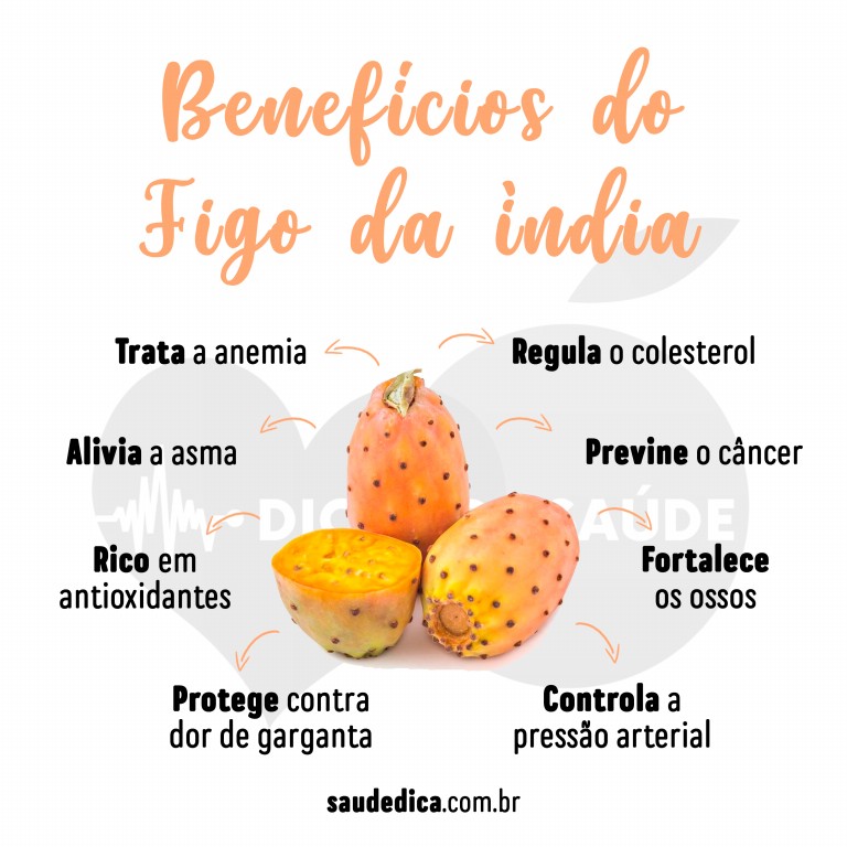 Benefícios do Figo da Índia Para Saúde