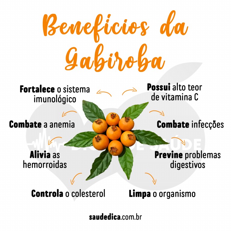 Benefícios da Gabiroba para saúde