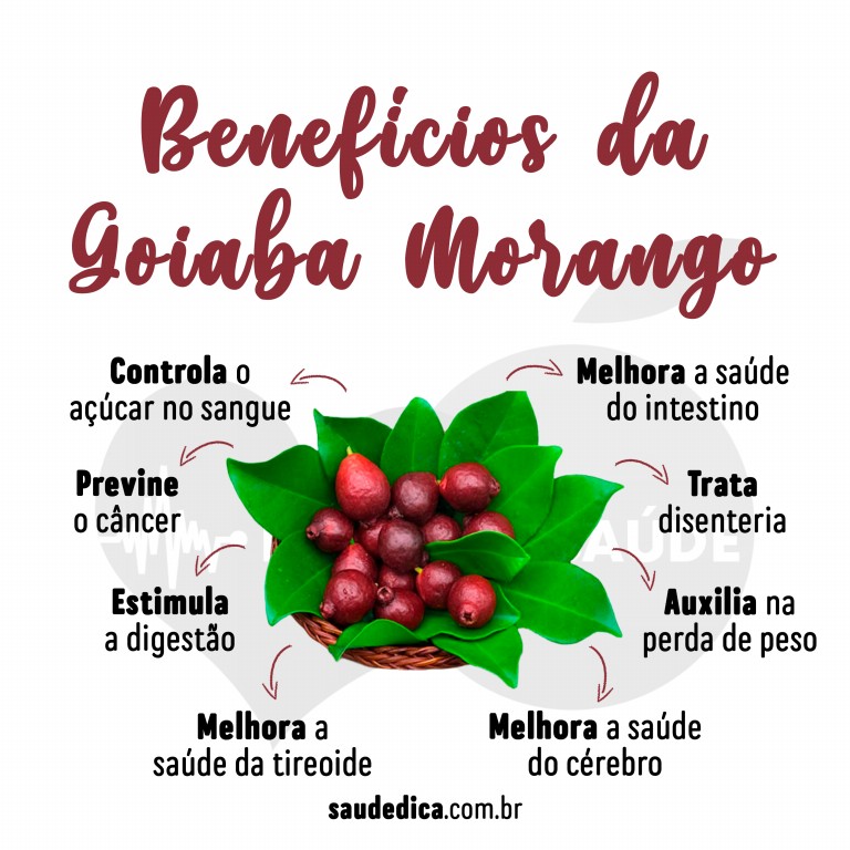 Benefícios da Goiaba Morango para saúde