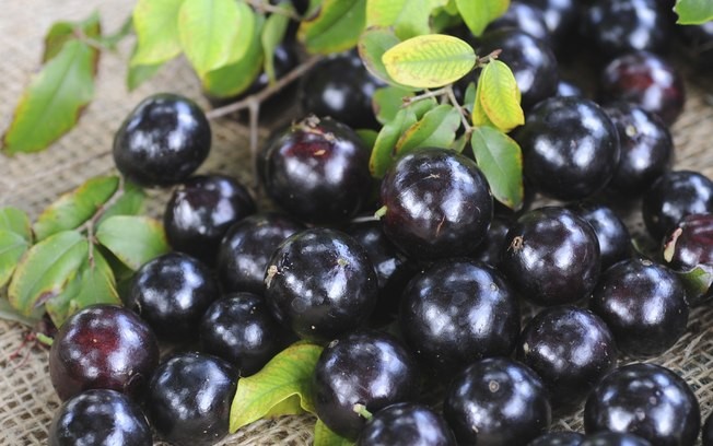 jabuticaba 1