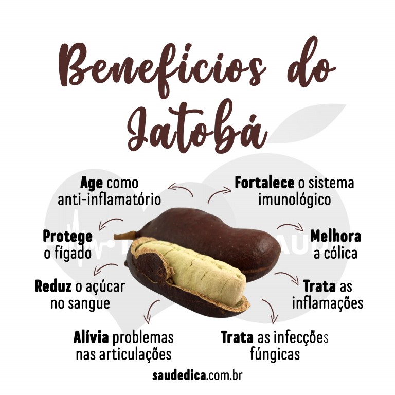 Benefícios do Jatobá Para Saúde