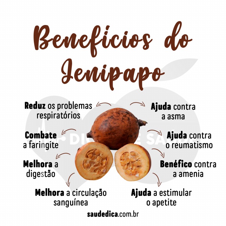 Benefícios do Jenipapo para saúde