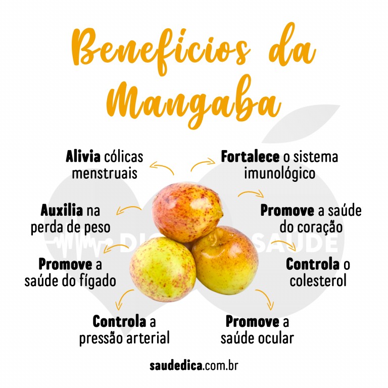 Benefícios da Mangaba para saúde