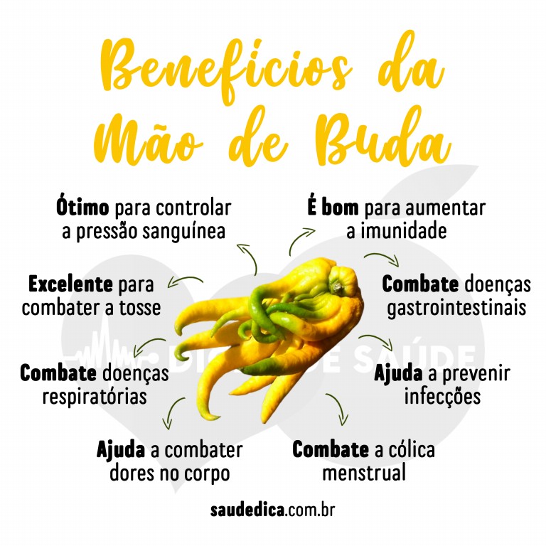 Benefícios da Mão de Buda para saúde