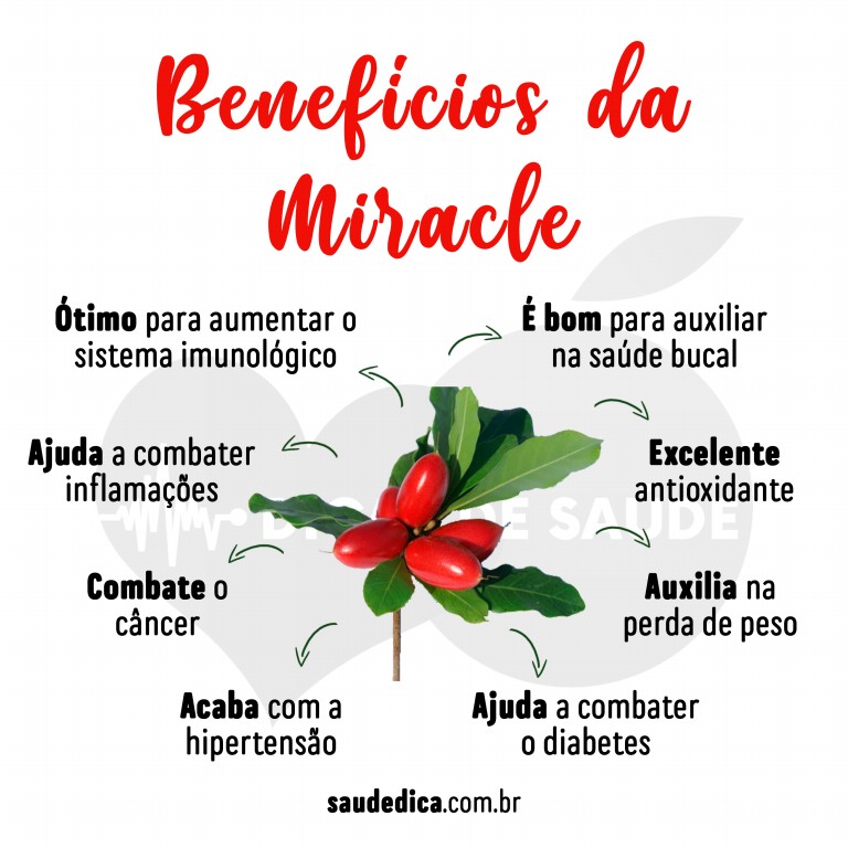 Benefícios da Miracle para saúde