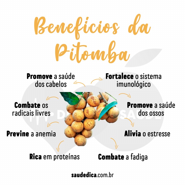 Benefícios da Pitomba para a saúde