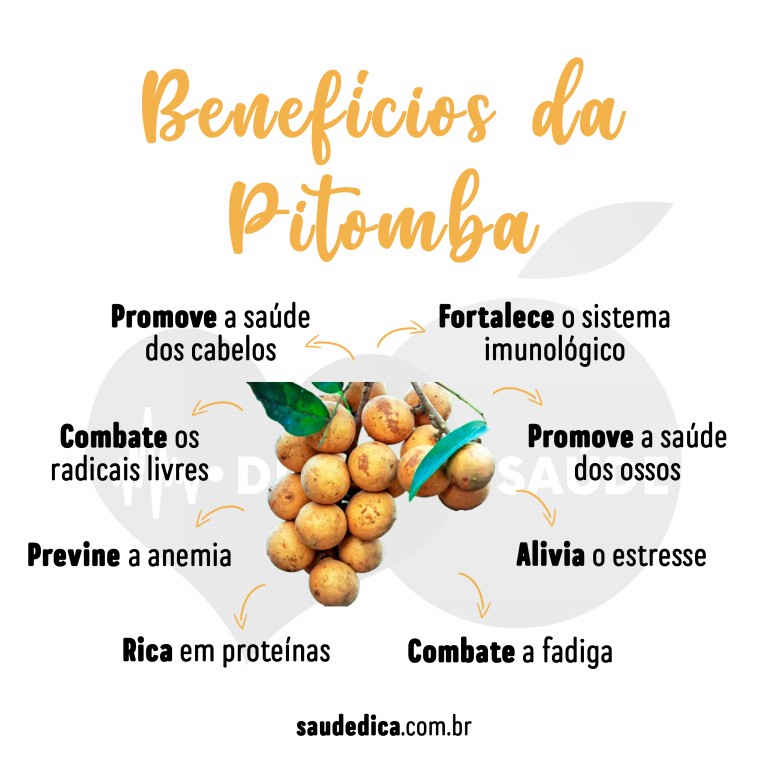 pitomba 3