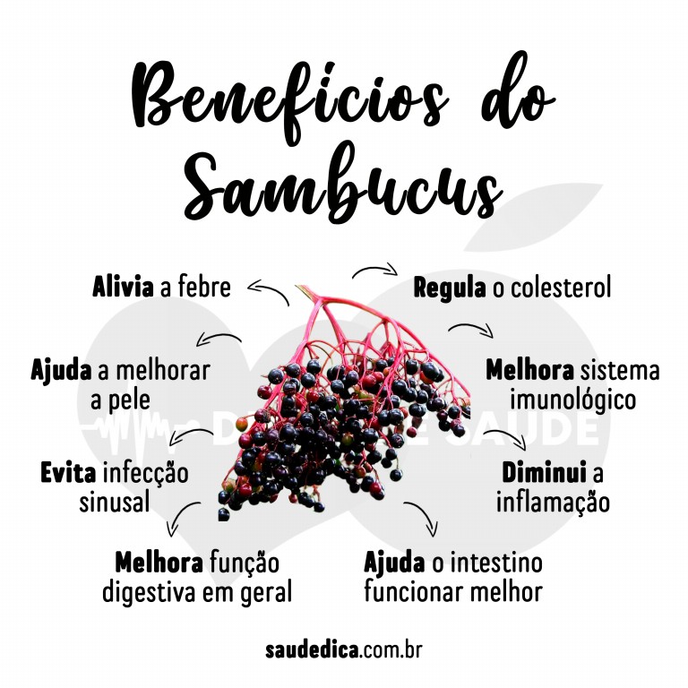 Benefícios do sambucus para saúde