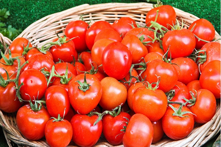 Benefícios do Tomate Para Saúde