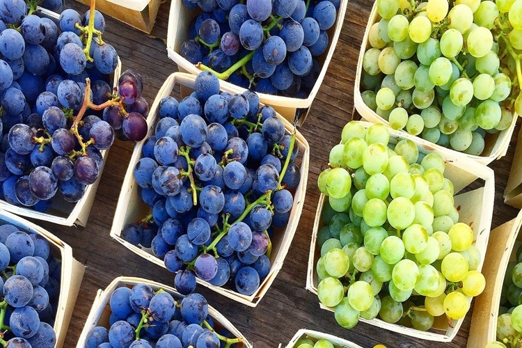 Uva para anemia, azia e ansiedade: veja os 18 benefícios da fruta
