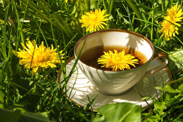 Chá de Arnica