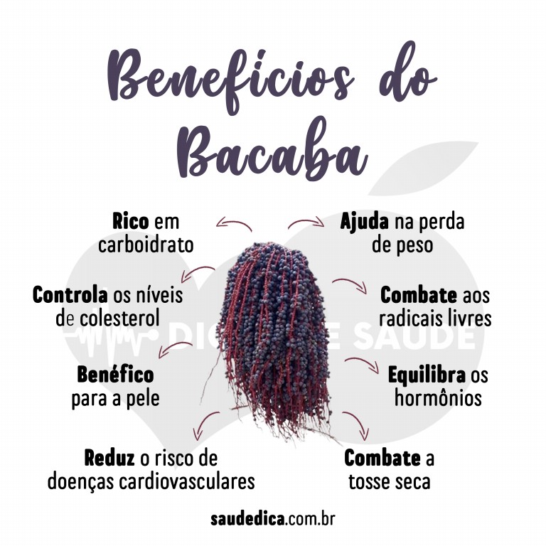 Benefícios da bacaba para saúde