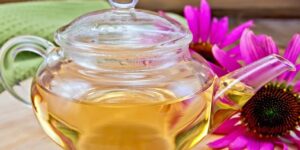 beneficios do cha de equinacea