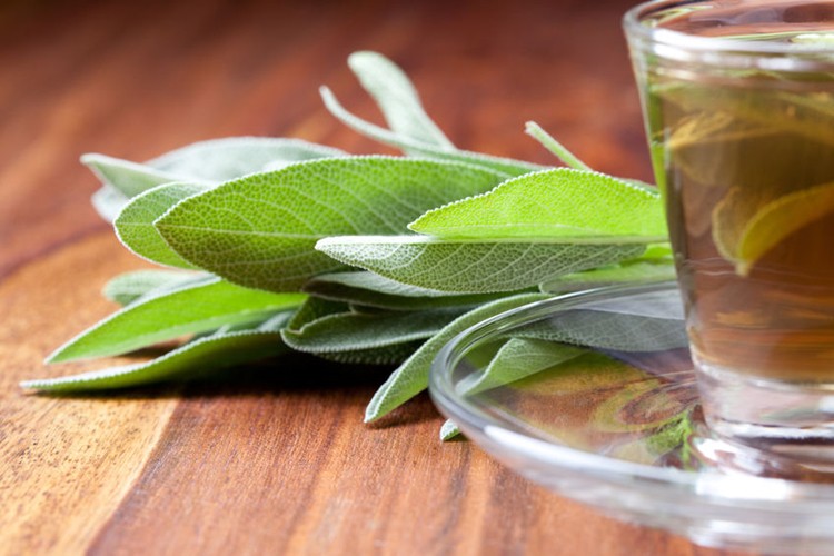 beneficios do cha de salvia