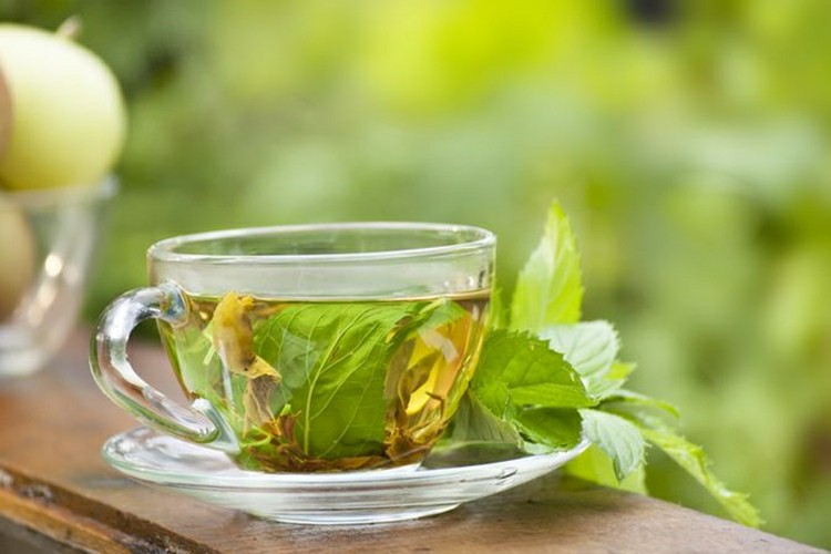 beneficios-dos-cha-da-tulsi-para-saude